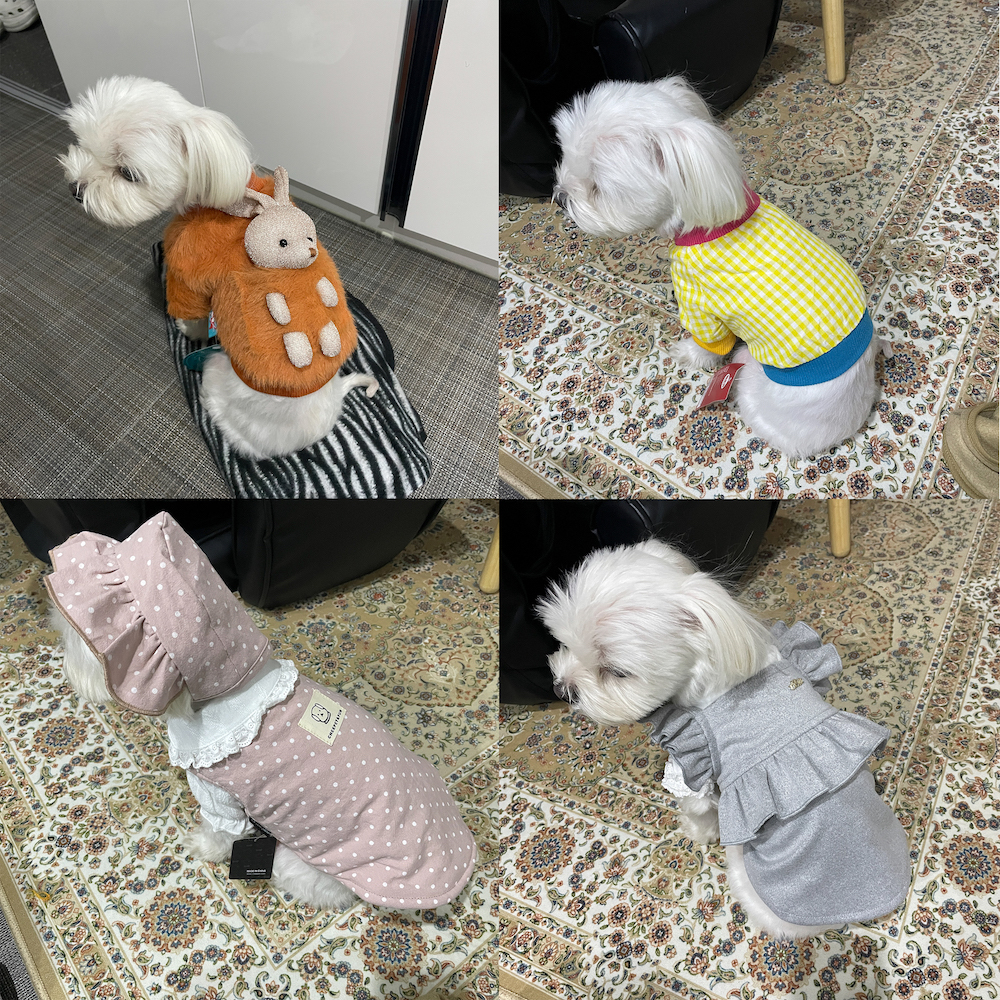 이용후기